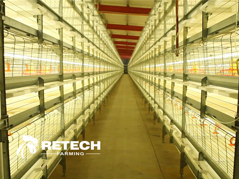 Light management for broilers!