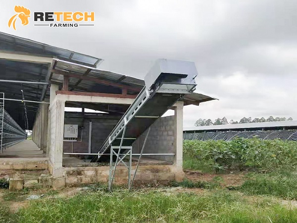 automatic chicken manure system