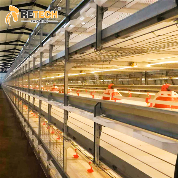 broiler battery cage